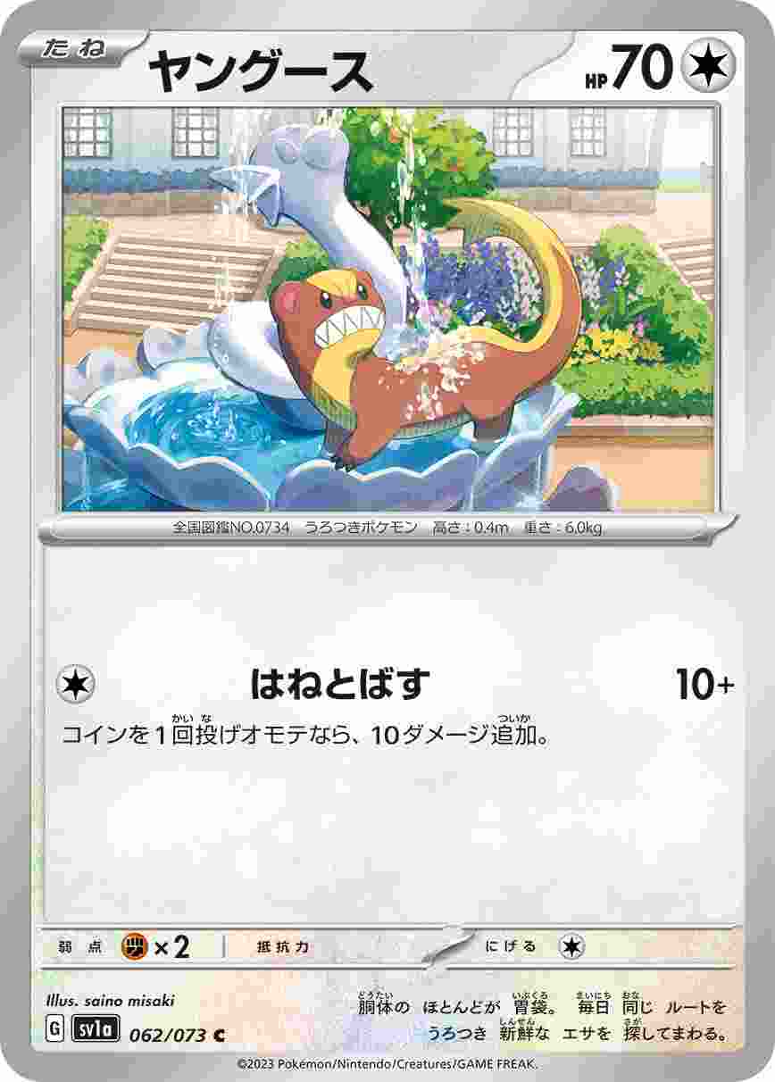 ヤングース [C] SV1A-062/073