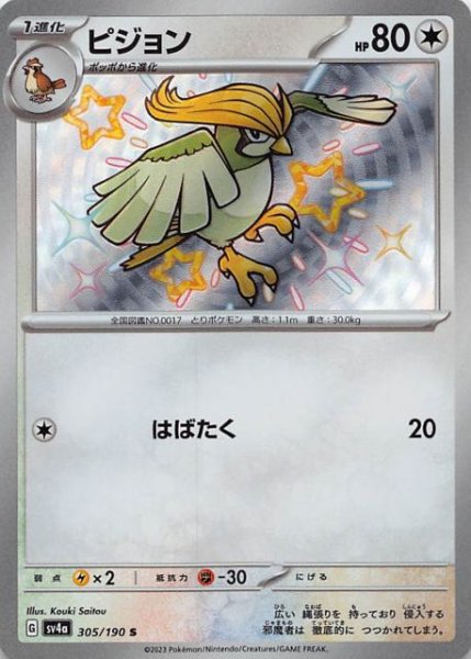 ピジョン [S] SV4A-305/190