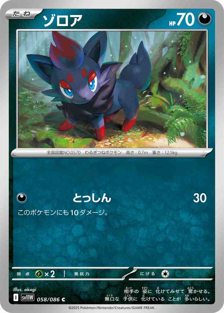 ゾロア [C] 悪 SV11W 058/086
