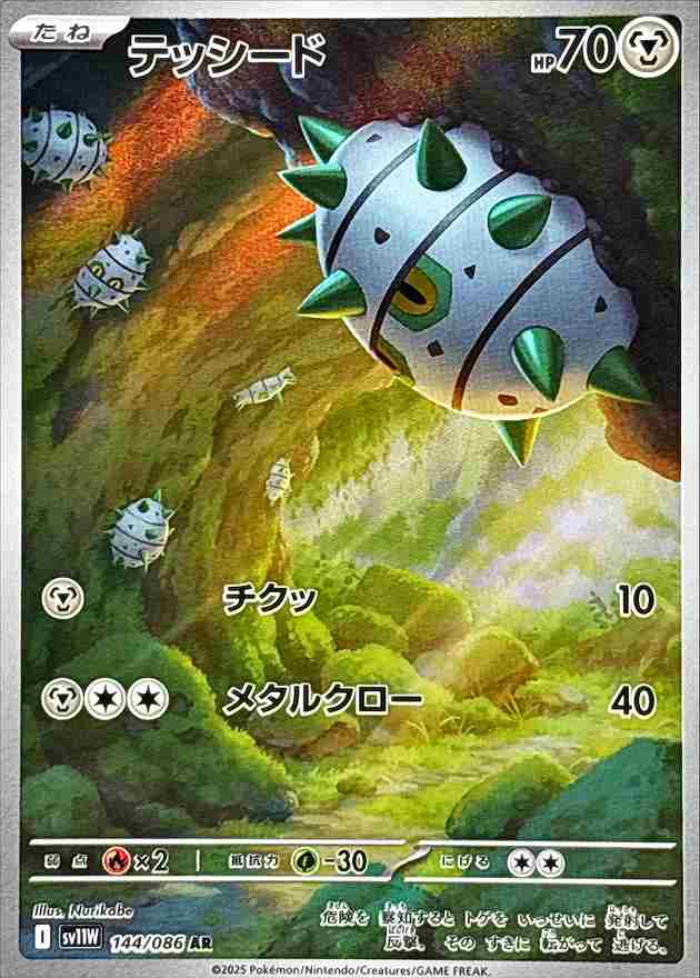 テッシード [AR] 鋼 SV11W 144/086