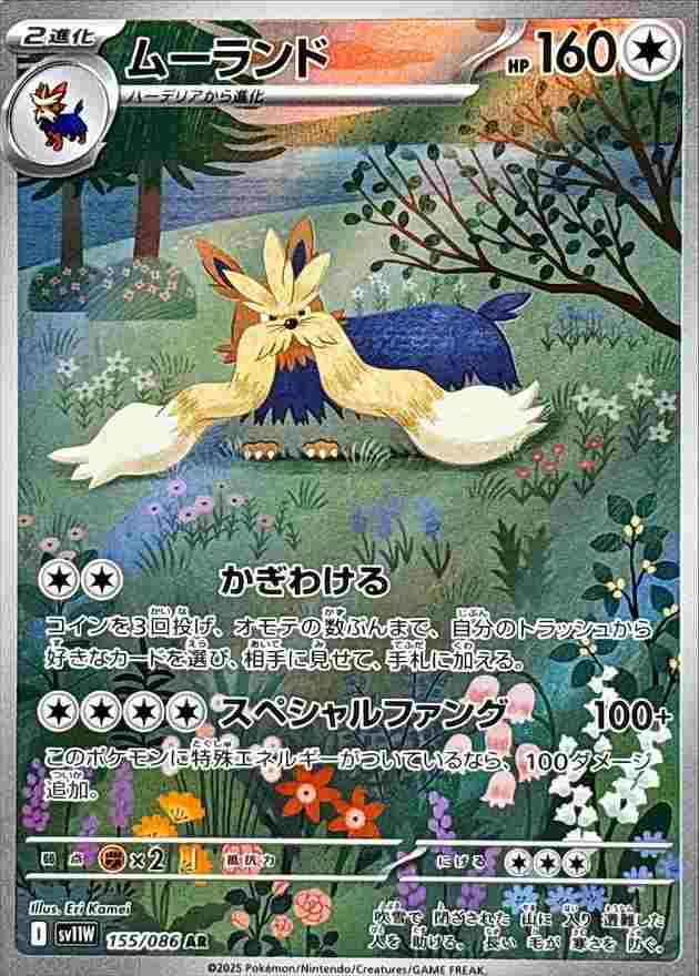 ムーランド [AR] 無色 SV11W 155/086