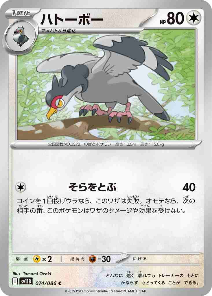 ハトーボー [C] 無色 SV11B 074/086